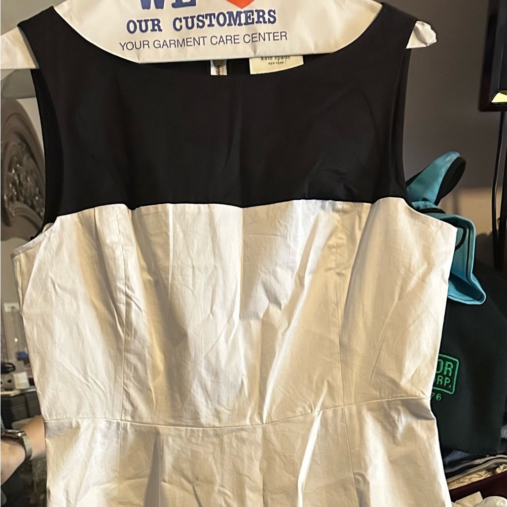 Kate spade fit and flare dress